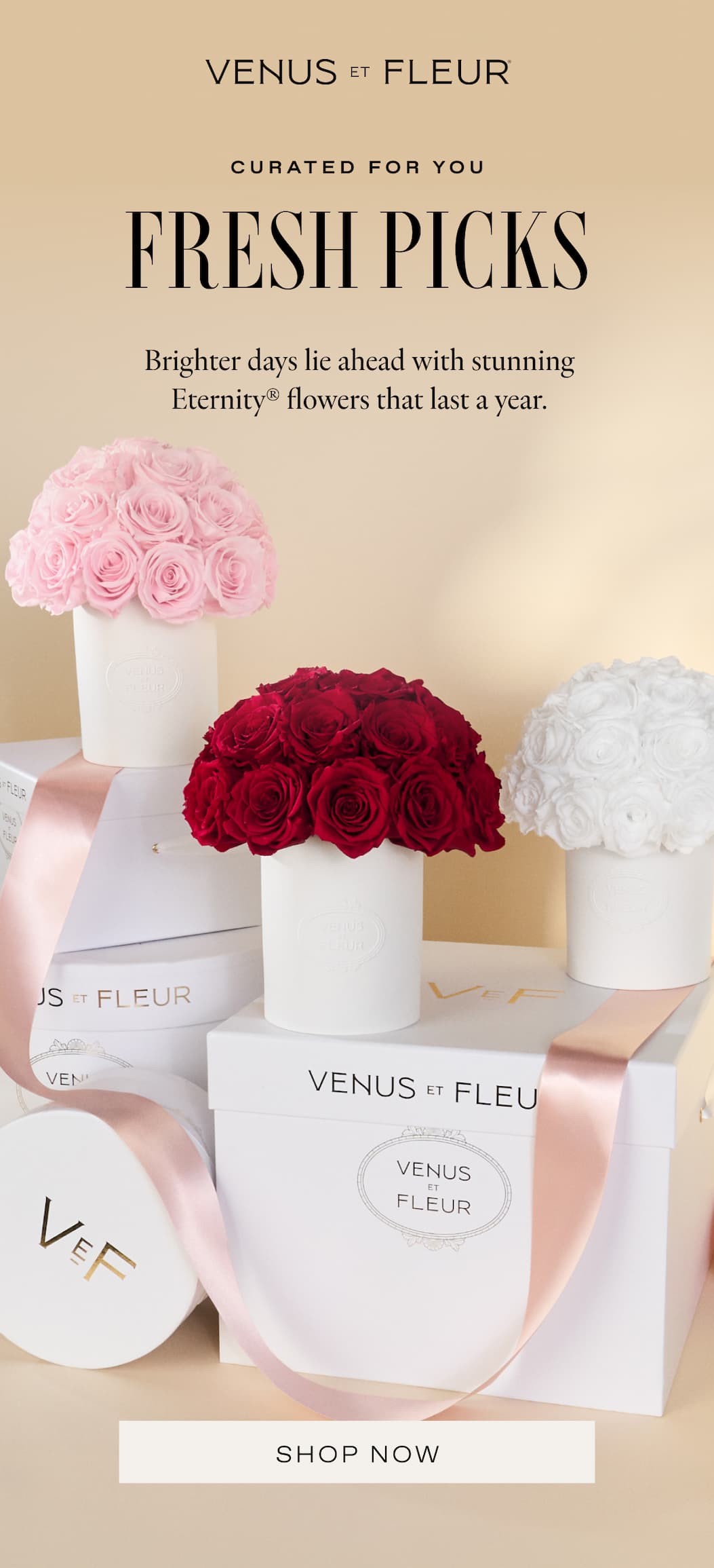 Curated for You: Weekly Fresh Picks