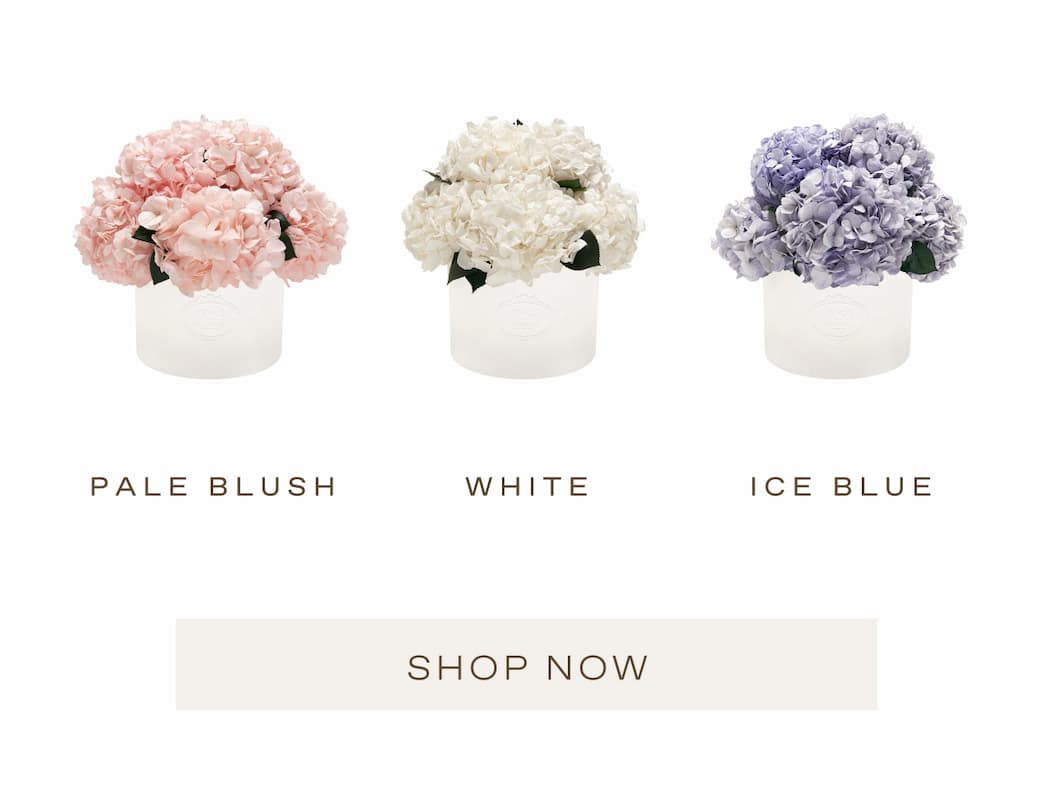 Pale Blush, White, and Ice Blue.