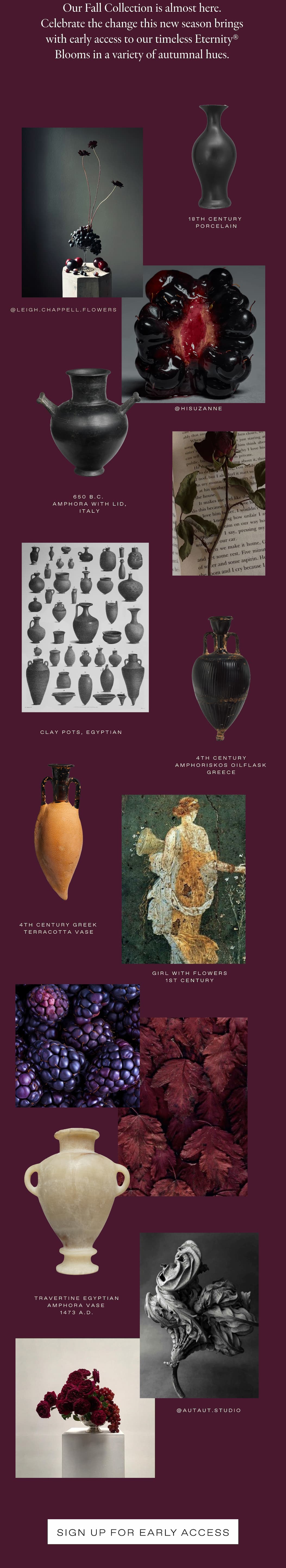 A vertical collage on a plum backdrop presenting the Fall palette and textures: a dew-kissed near-black rose, clusters of blackberries, wine-toned leaves, a white x-ray flower, multiple antiquity-inspired vessels (porcelain, clay, travertine; including a grid of ancient pots and a tall Egyptian amphora), a classical 'Flora' fresco and figure sketch, and a paint roller laying down an oxblood swatch—signaling a moody, museum-worthy direction for the Fall collection.