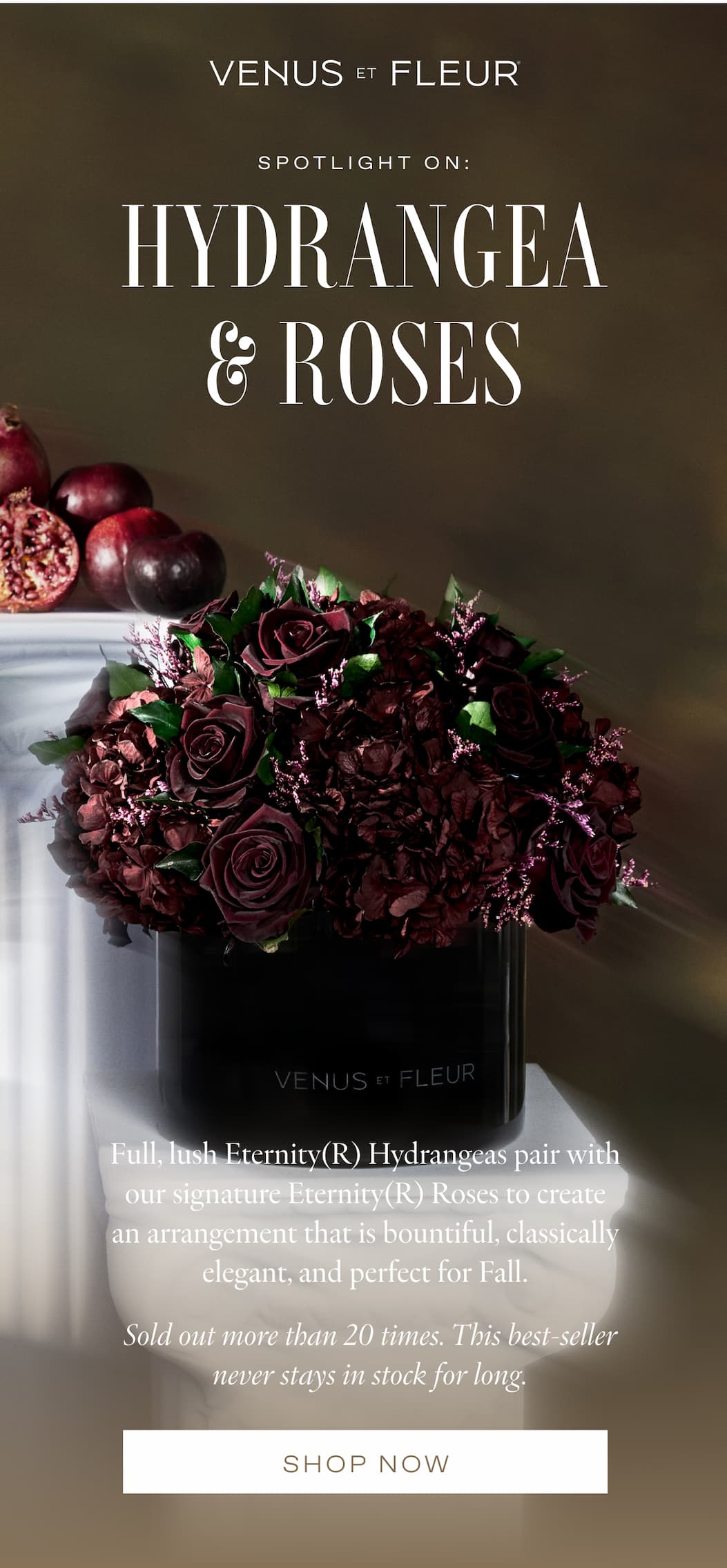 New Arrivals: The New Icons