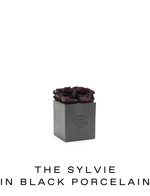 THE SYLVIE
