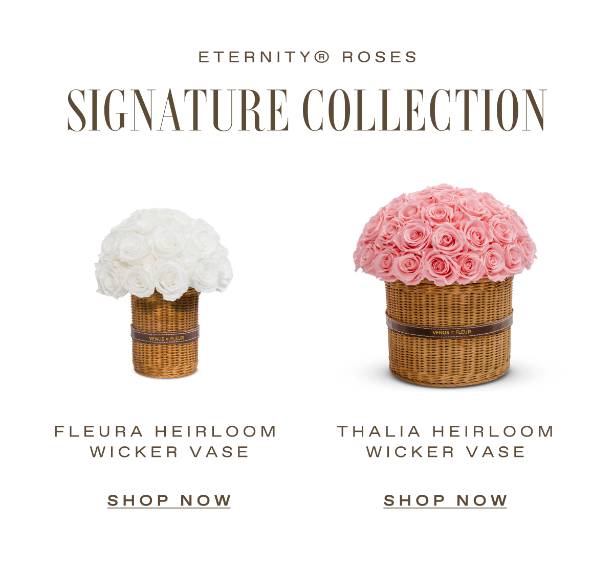 Our Signature Collection Back in Stock