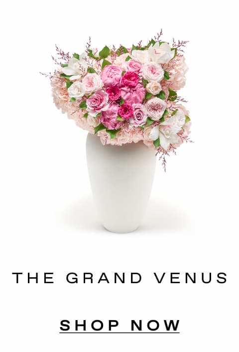 GRAND VENUS