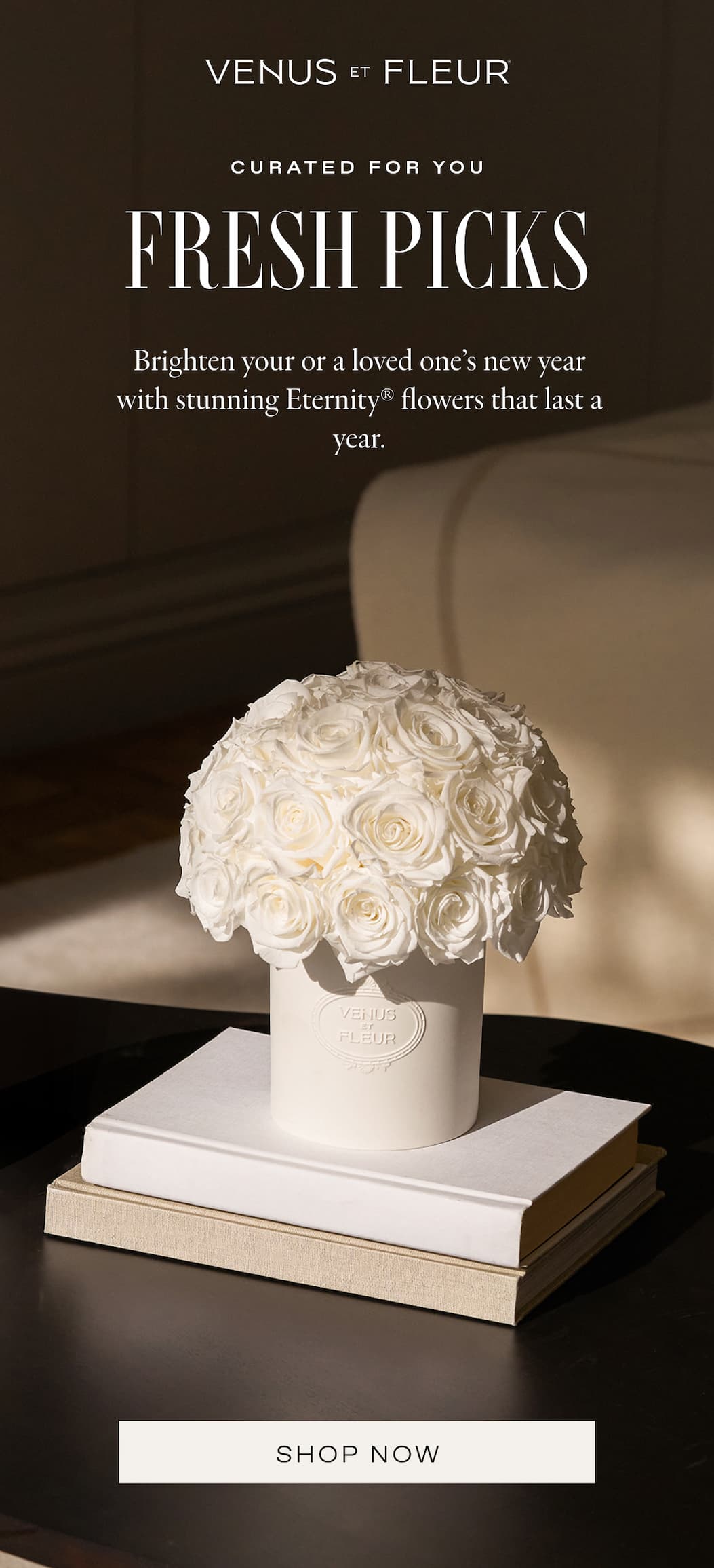 Curated for You: Weekly Fresh Picks