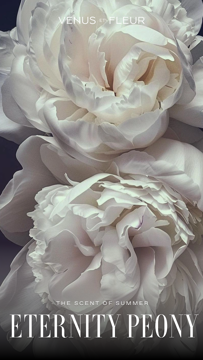 ETERNITY PEONY