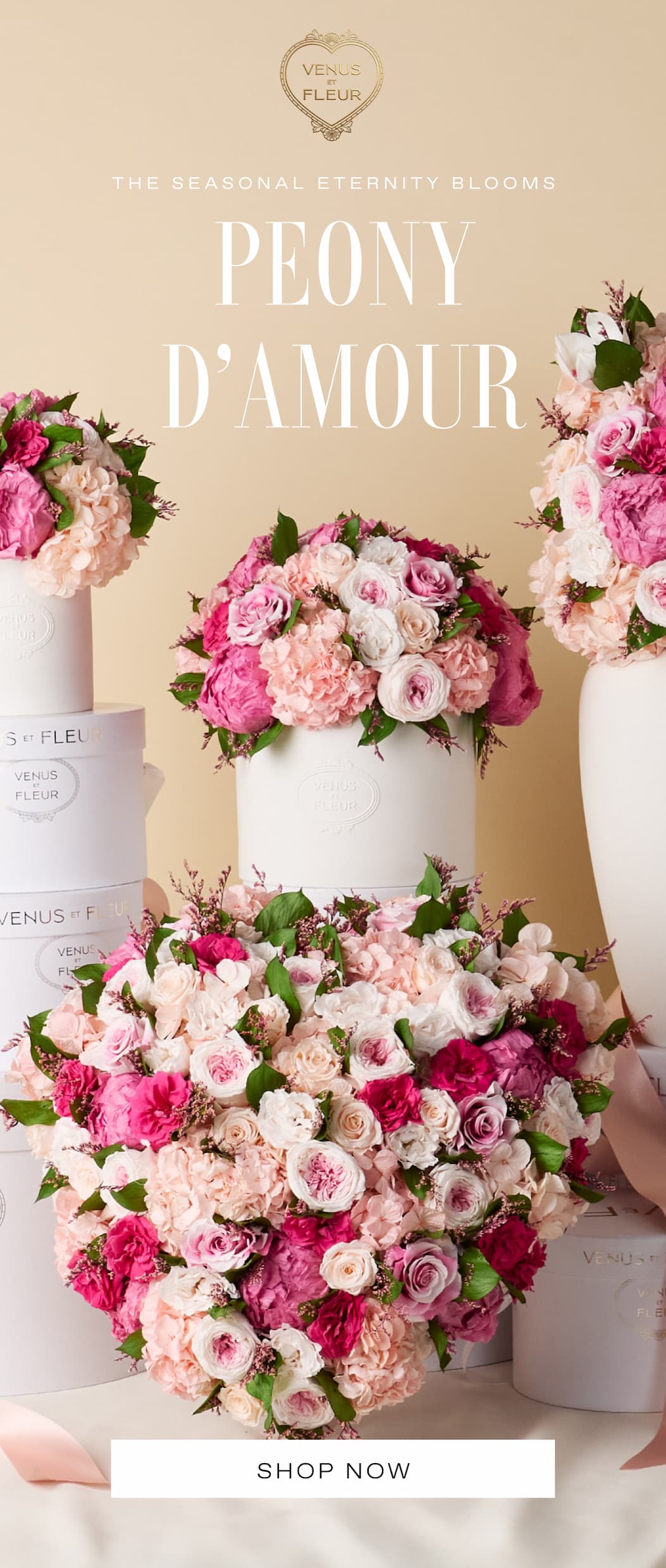 LIMITED EDITION - Peony d'Amour - THE SEASONAL ETERNITY BLOOMS