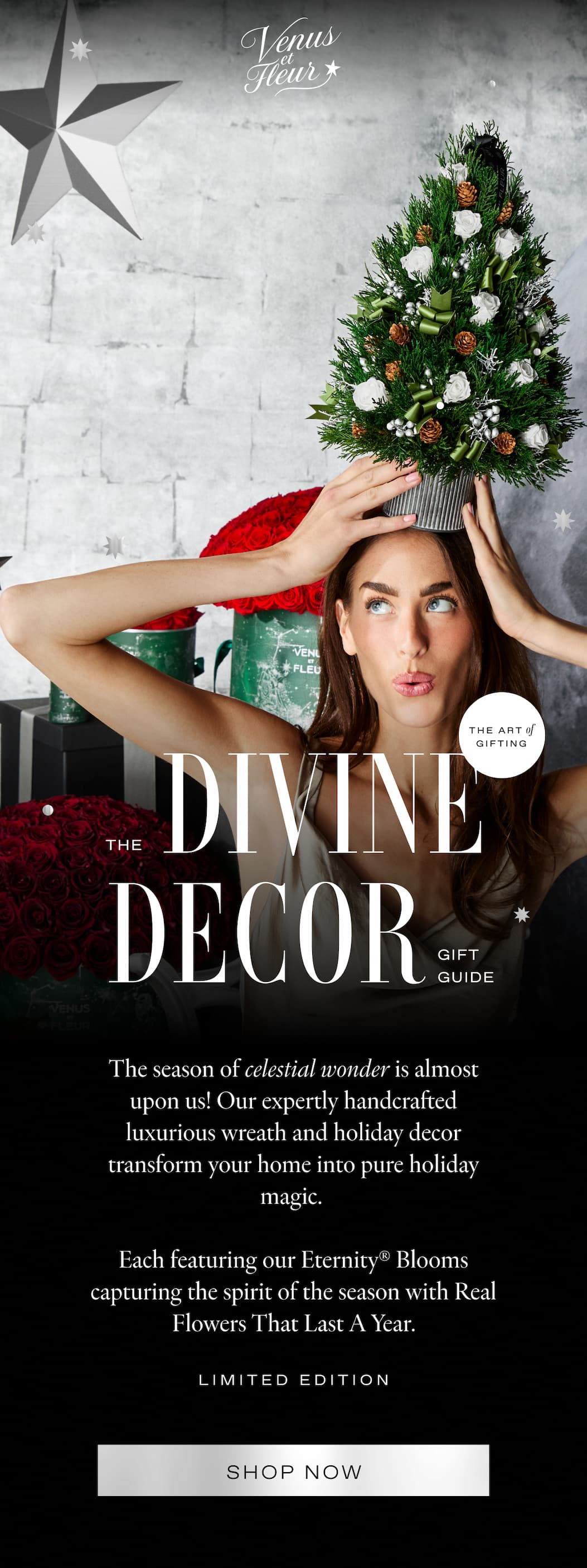 COMPLIMENTARY SHIPPING ON HOLIDAY DECOR