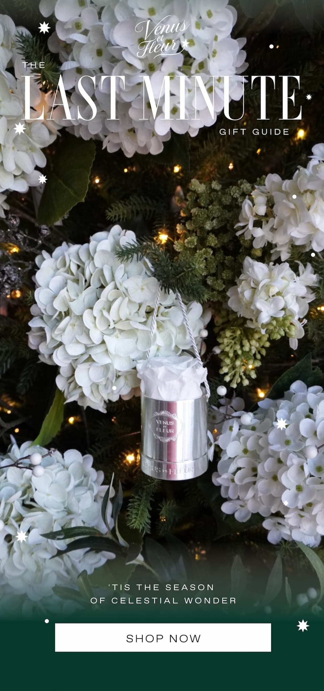 THE LAST MINUTE GIFT GUIDE