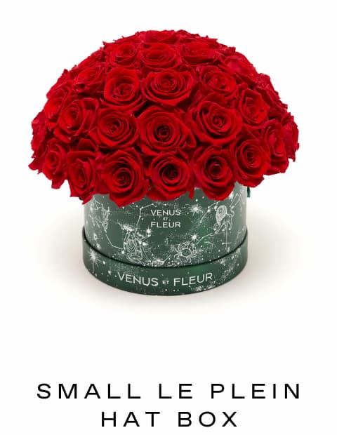 SMALL LE PLEIN CELESTE