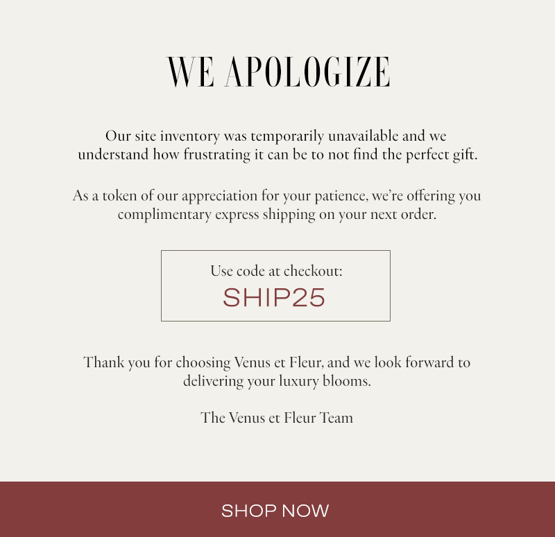 We Apologize