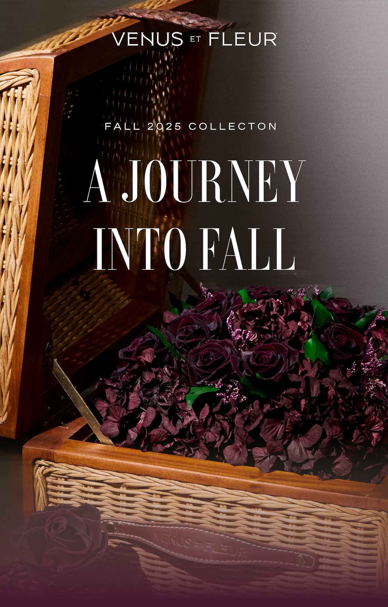 FALL 2025 COLLECTION: Our Newest Arrangements