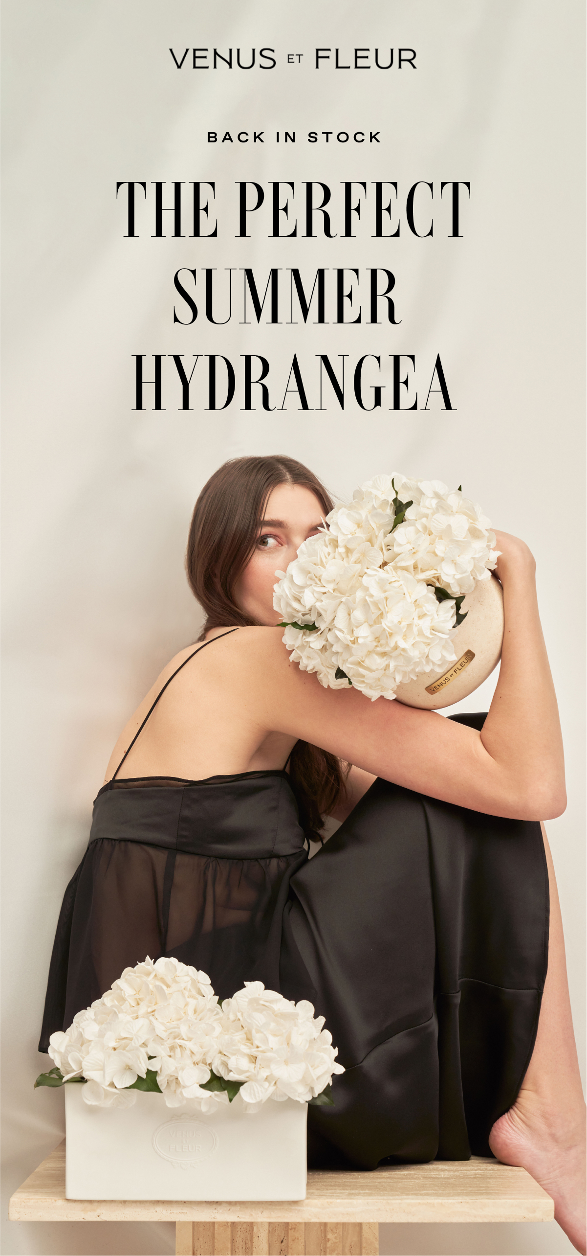 Back in Stock: The Perfect Summer Hydrangea