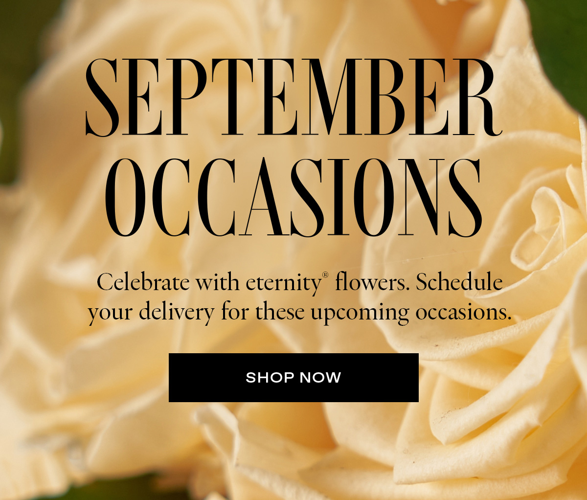 September Occasions VENUS ET FLEUR