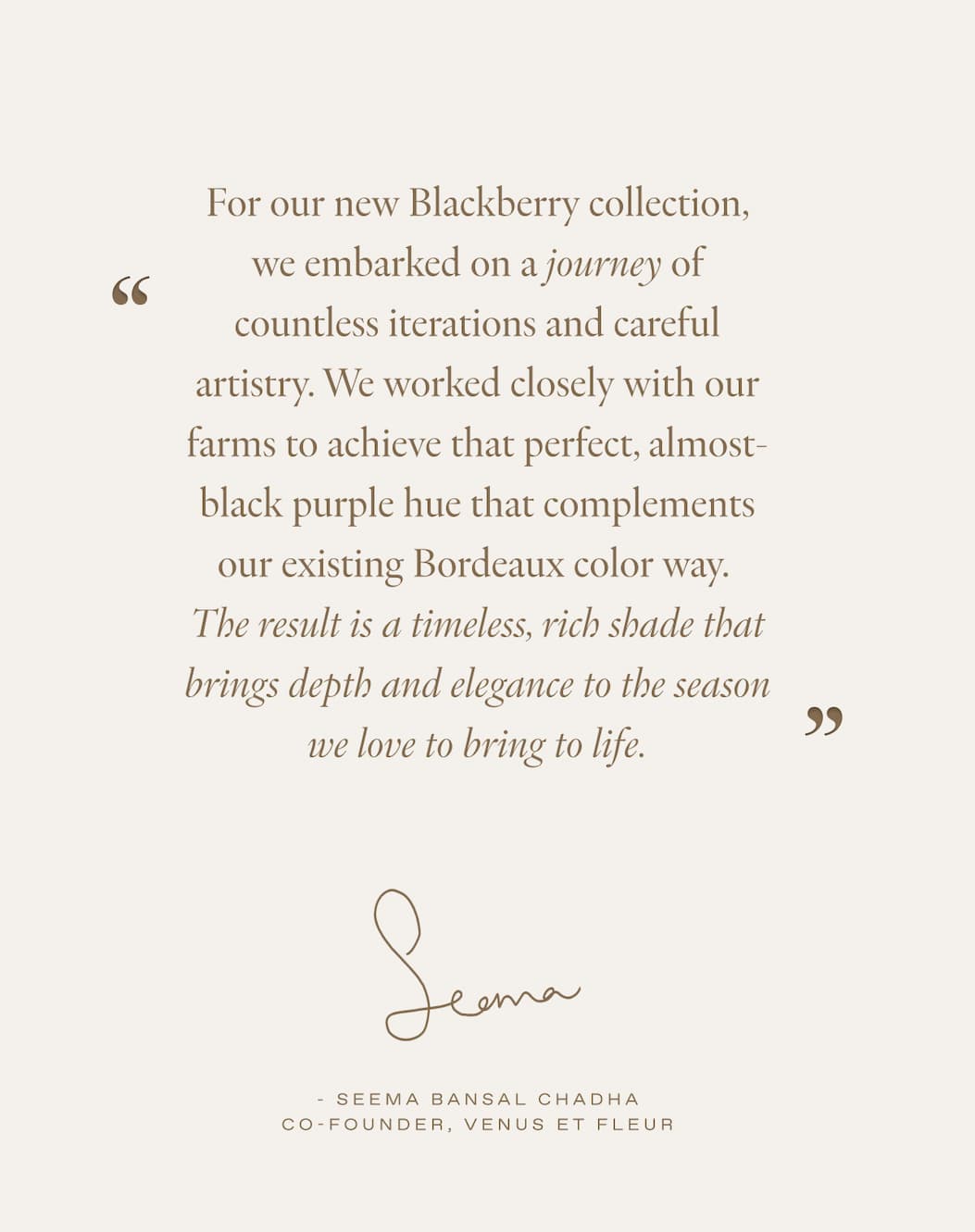 A vertical collage on a plum backdrop presenting the Fall palette and textures: a dew-kissed near-black rose, clusters of blackberries, wine-toned leaves, a white x-ray flower, multiple antiquity-inspired vessels (porcelain, clay, travertine; including a grid of ancient pots and a tall Egyptian amphora), a classical 'Flora' fresco and figure sketch, and a paint roller laying down an oxblood swatch—signaling a moody, museum-worthy direction for the Fall collection.