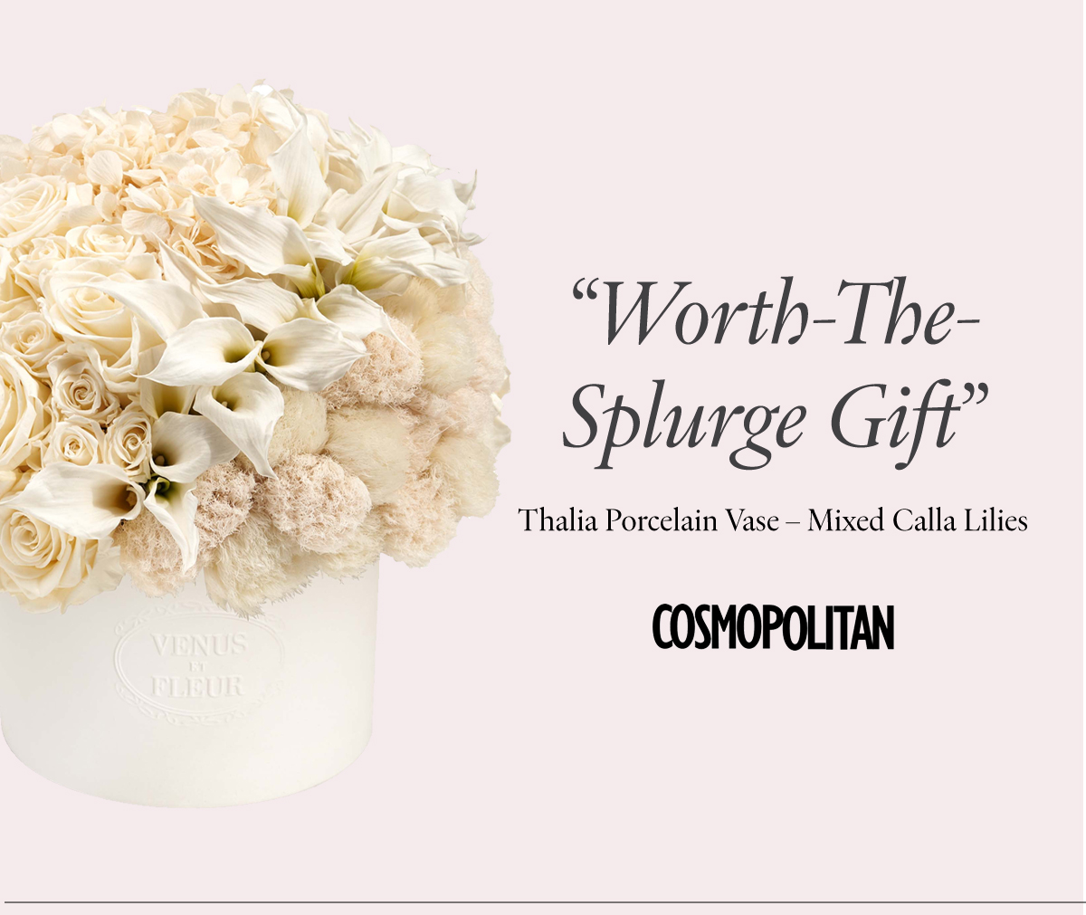 Spotlight on Venus et Fleur VENUS ET FLEUR