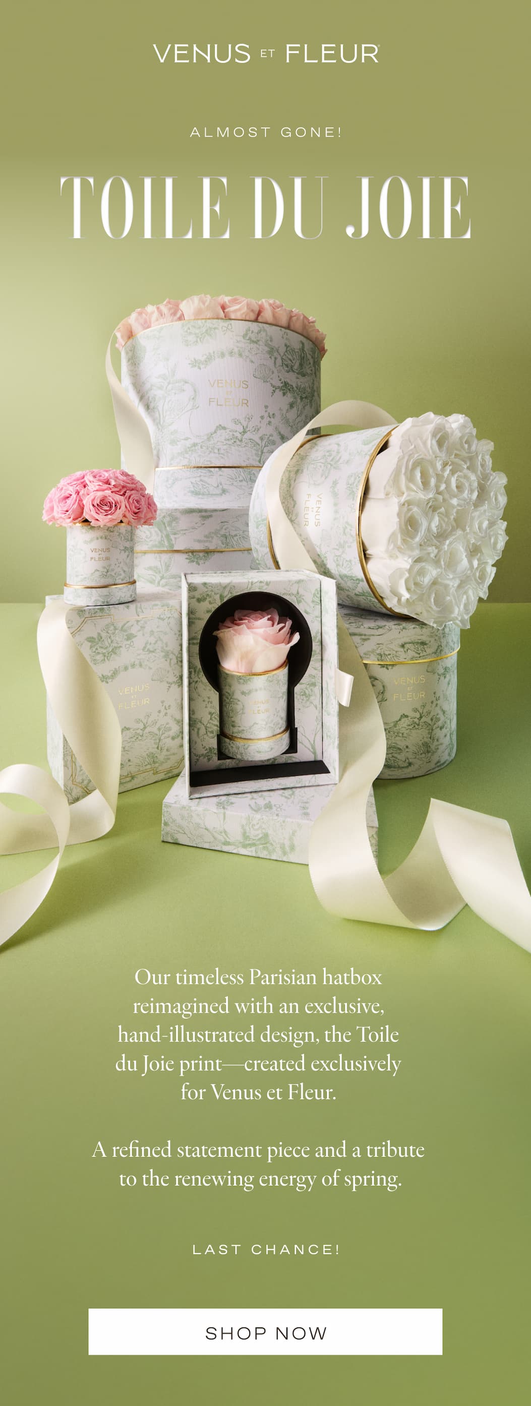 ALMOST GONE! | Toile du Joie