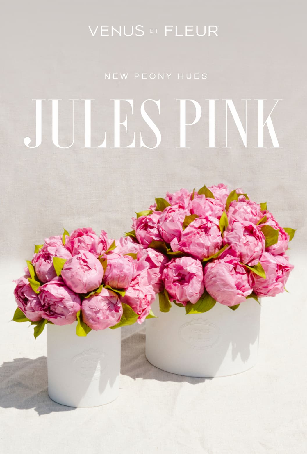 NEW PEONY HUES | Jules Pink