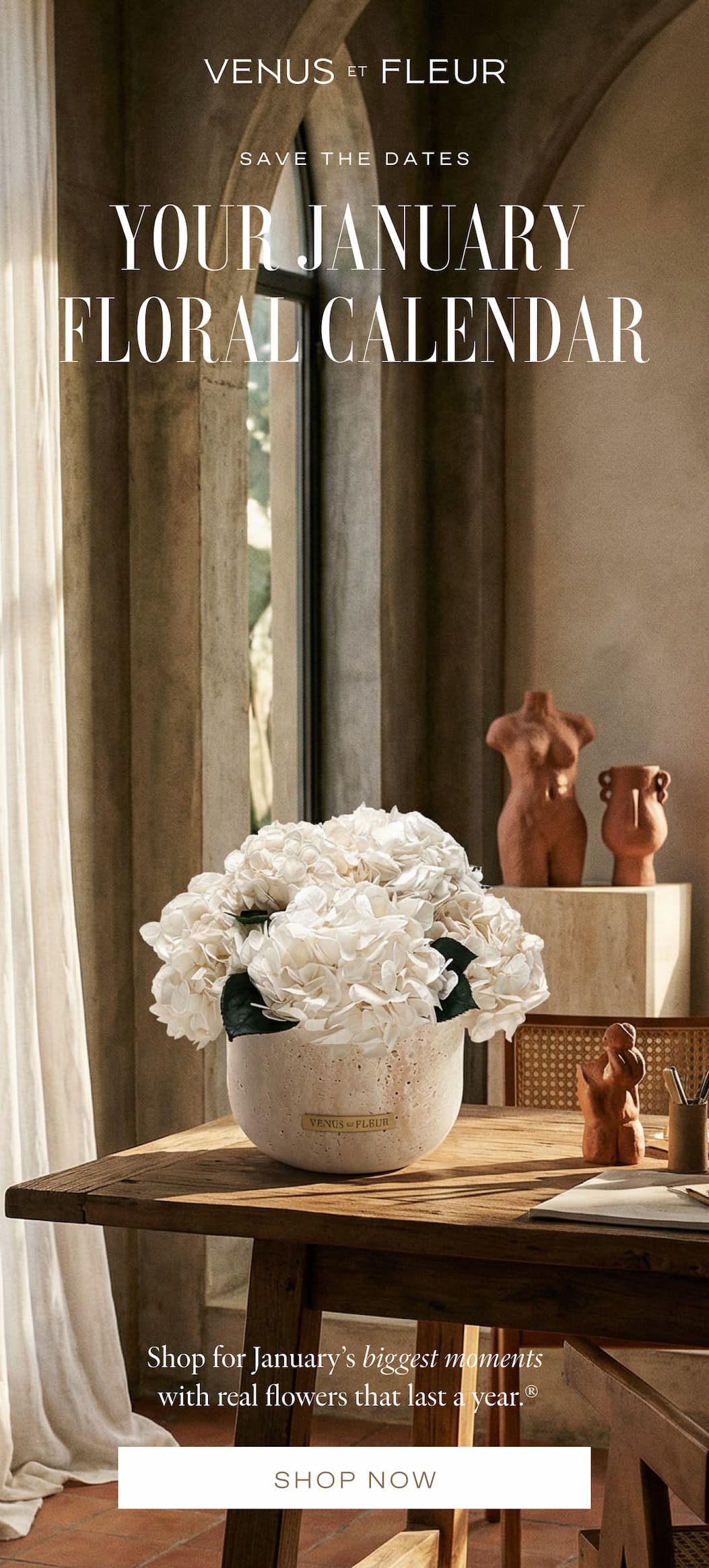 Save the Dates: Your January Floral Calendar