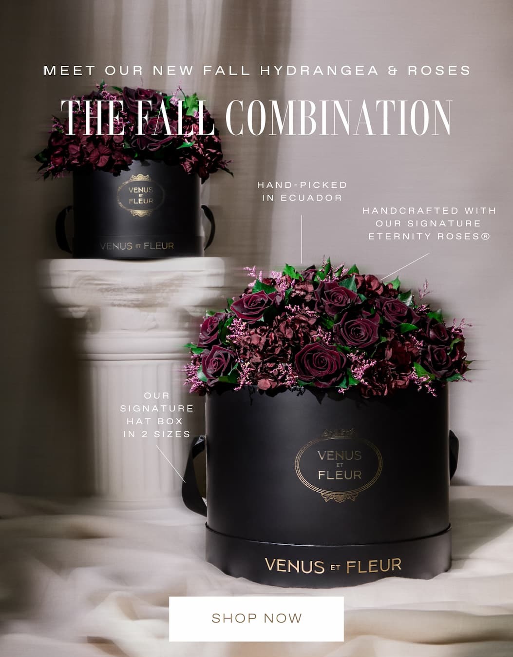 THE FALL COMBINATION