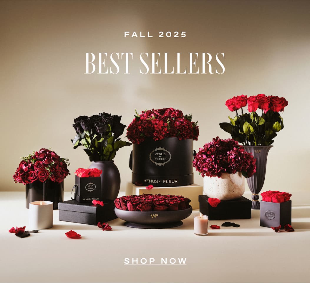 Fall 2024: BESTSELLERS