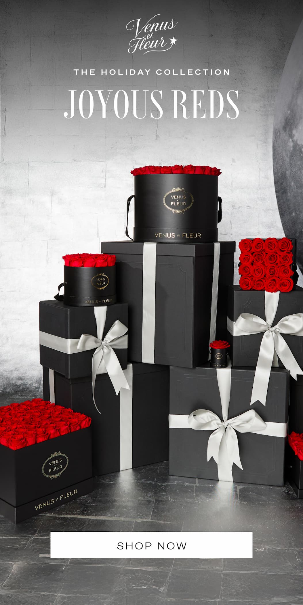 FINAL HOURS MYSTER GIFT