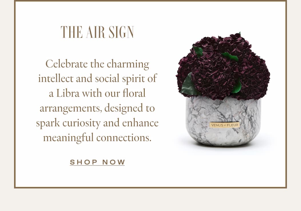 THE AIR SIGN