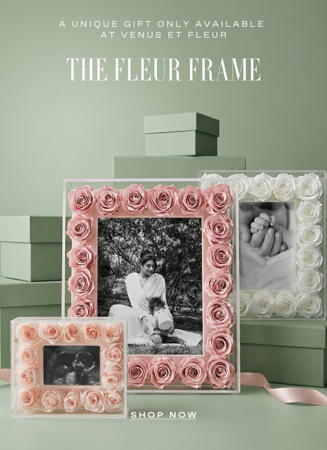THE FLEUR FRAME