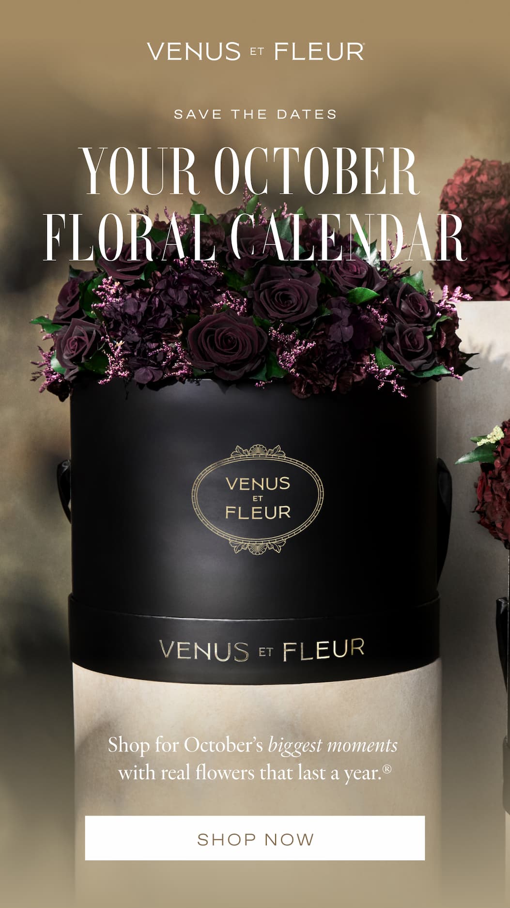 Save the Dates: Your October Floral Calendar