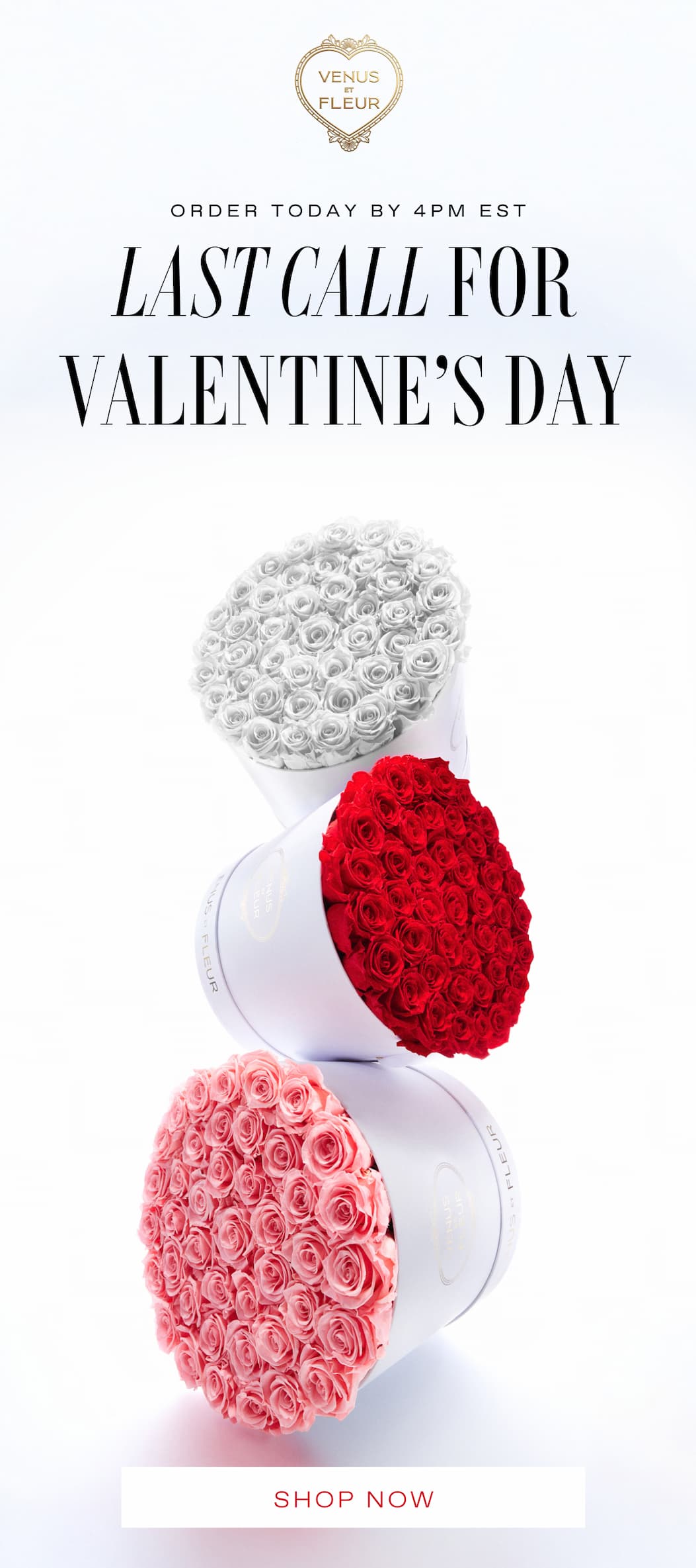 LAST CALL FOR VALENTINE'S DAY