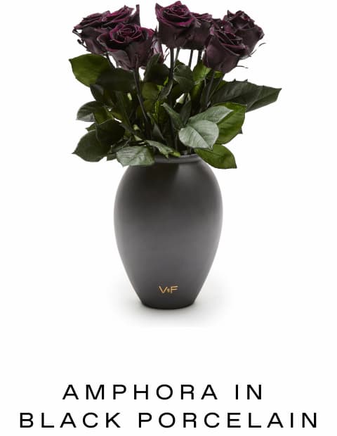 AMPHORA BLACK PORCELAIN