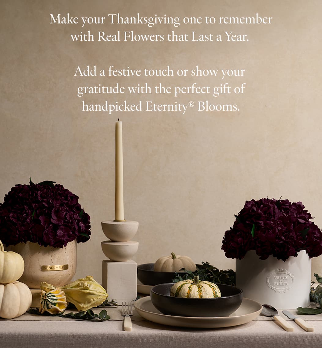 Make you Thanksgiving one to remember with Real Flowers that Last a Year.   Add a festive touch or show your gratitude with the perfect gift of handpicked Eternity® Blooms.