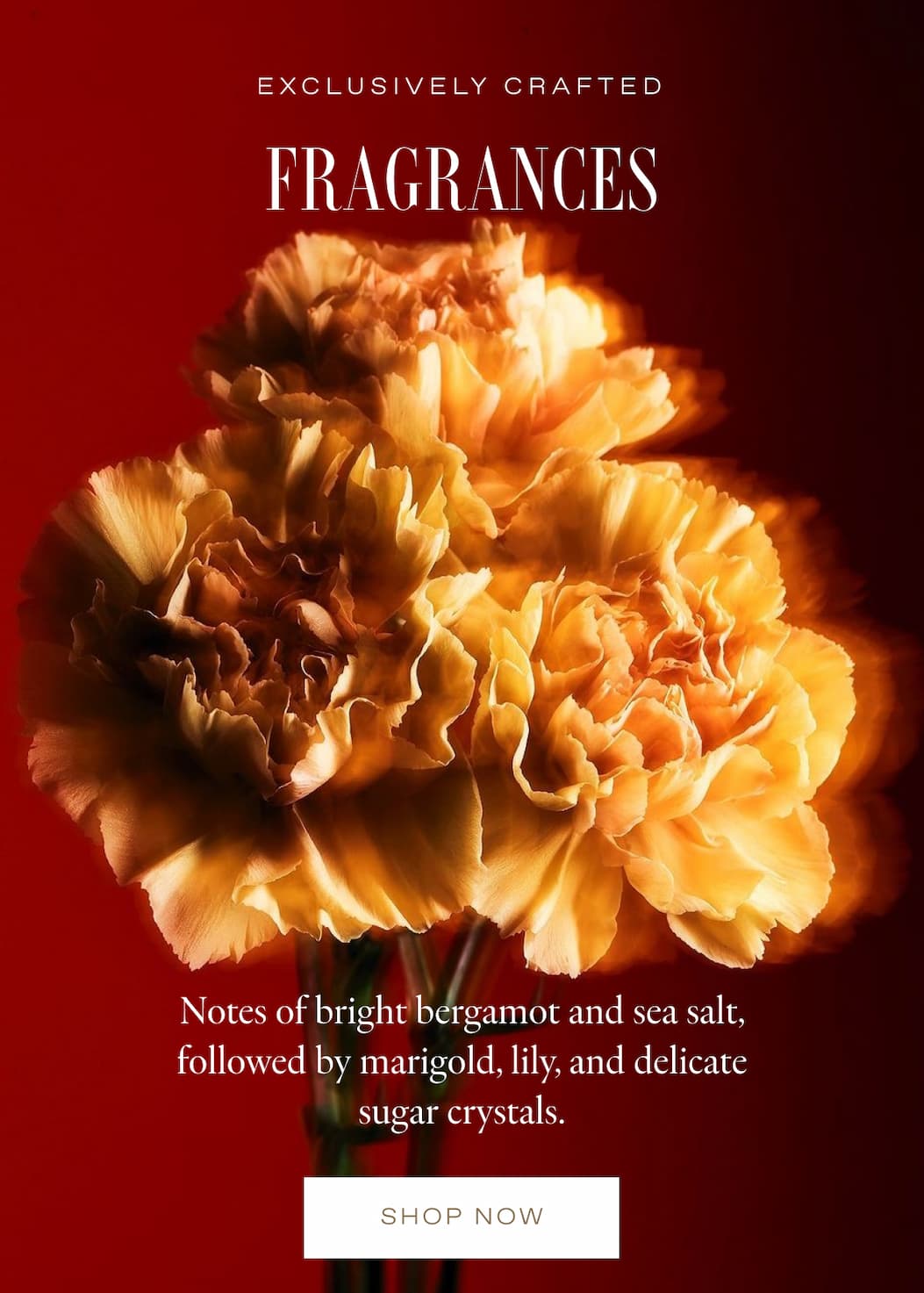 Exclusively Crafted Fragrances