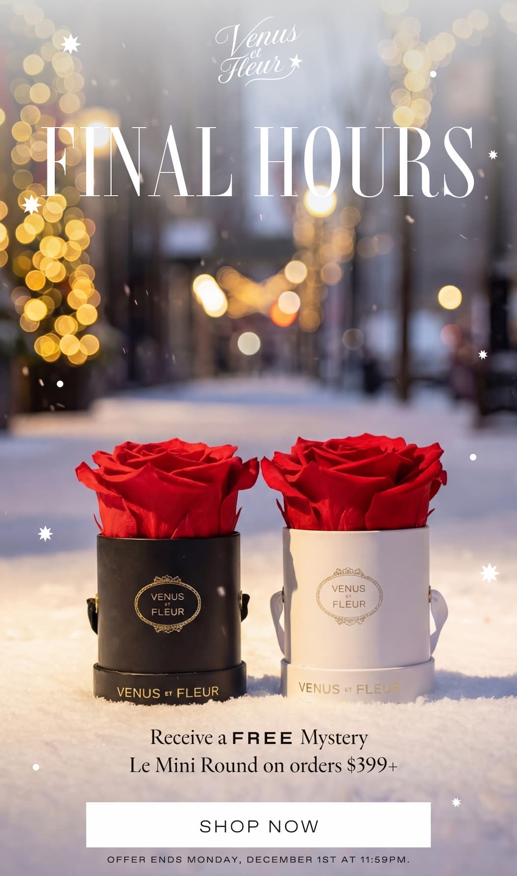 FINAL HOURS MYSTER GIFT