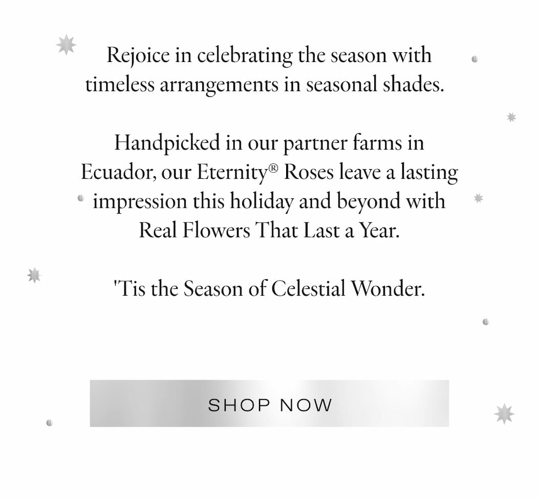 FINAL DAYS HOLIDAY SHIPPING