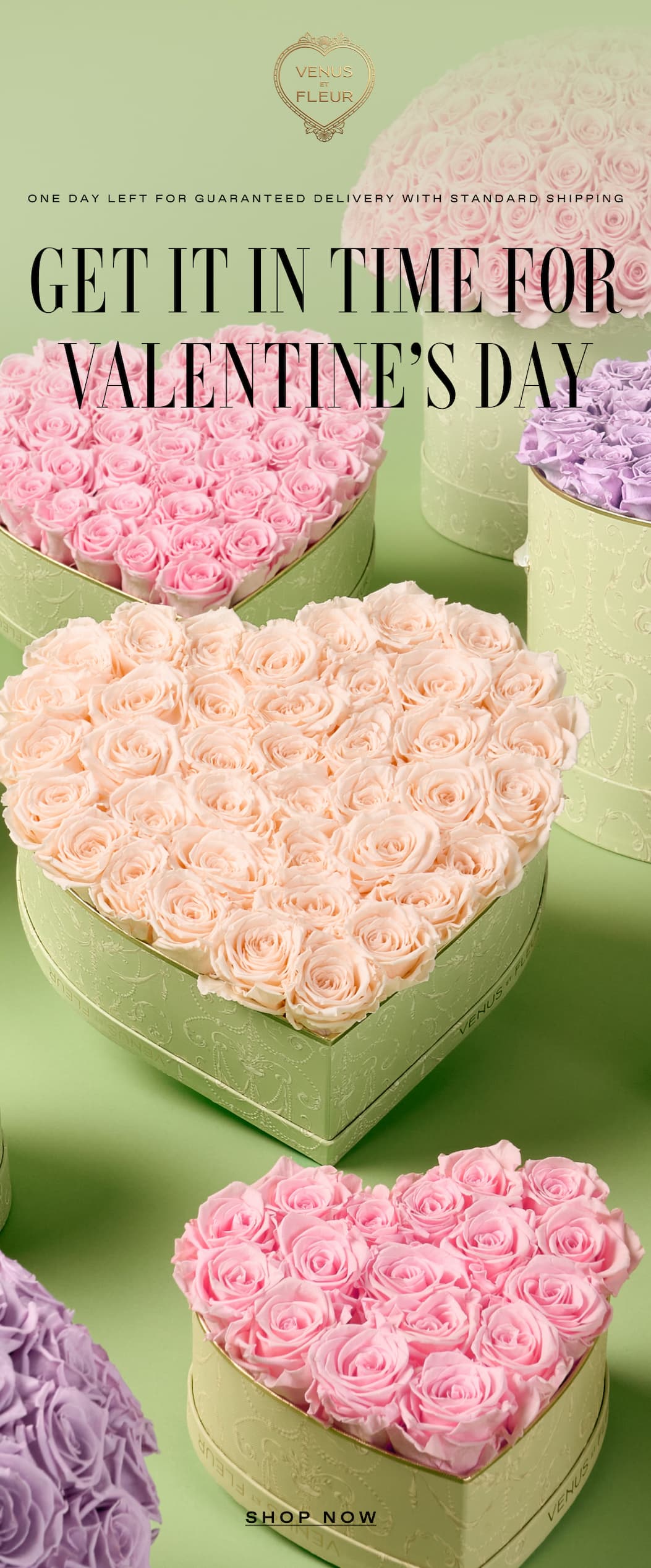 ONE DAY LEFT FOR STANDARD DELIVERY