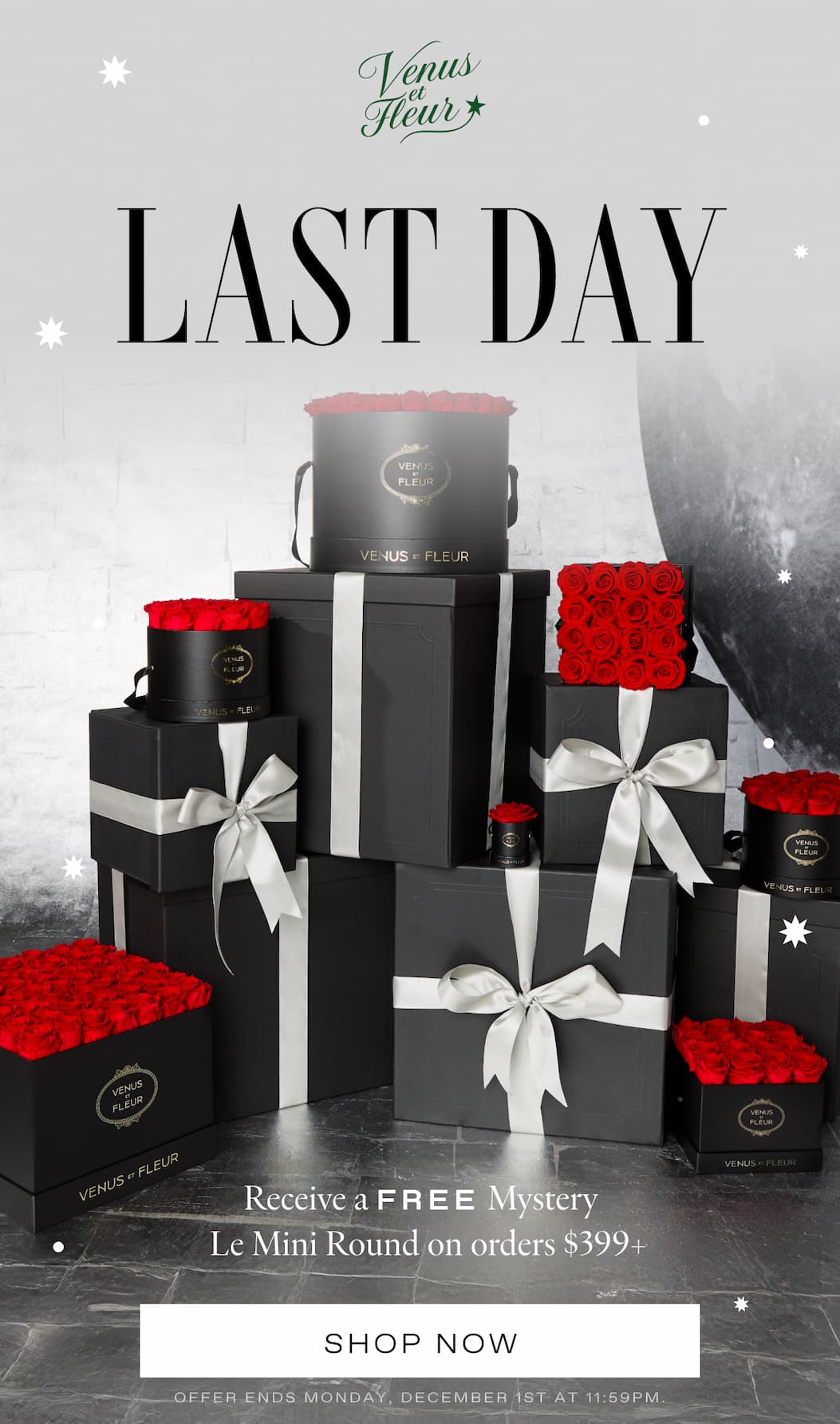 Enjoy Complimentary Shipping