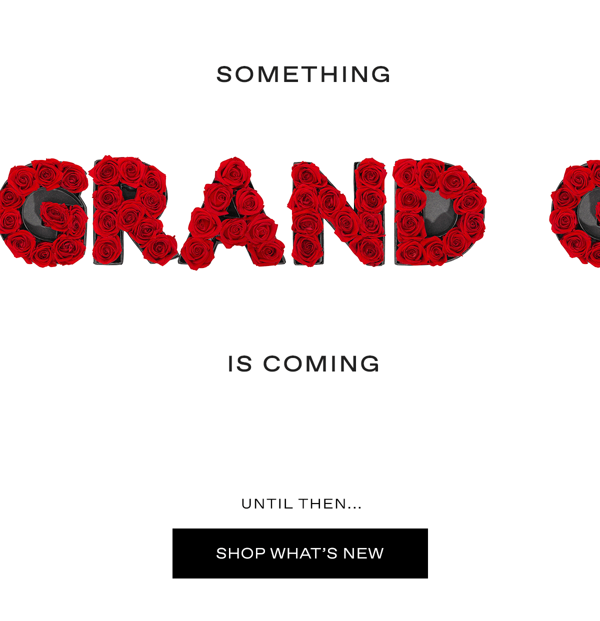 Get ready to make a statement VENUS ET FLEUR