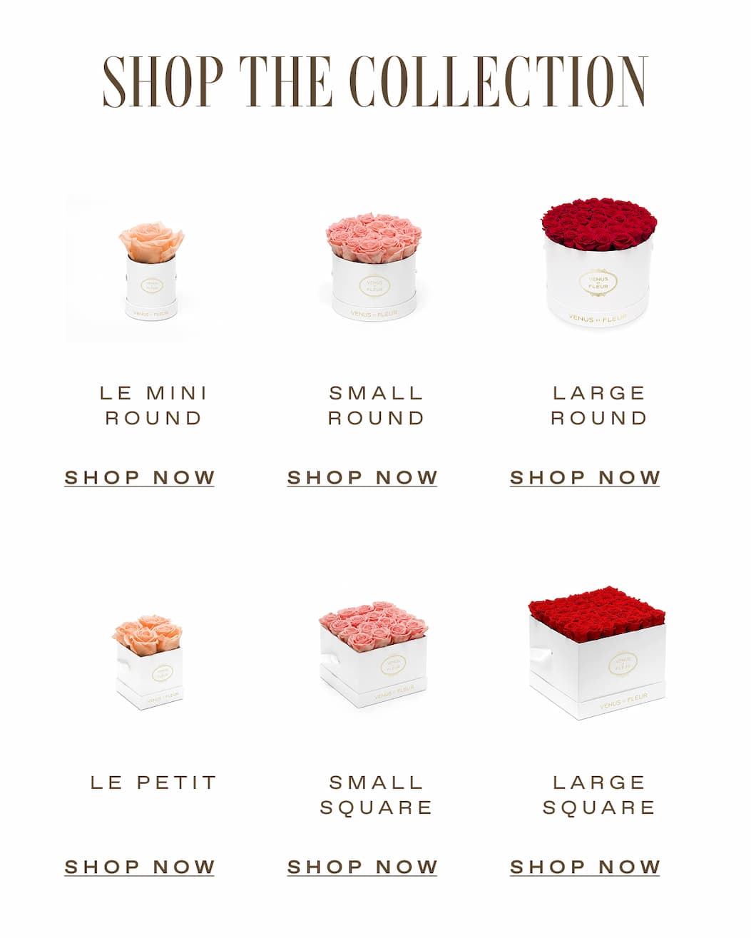 Shop the Collection