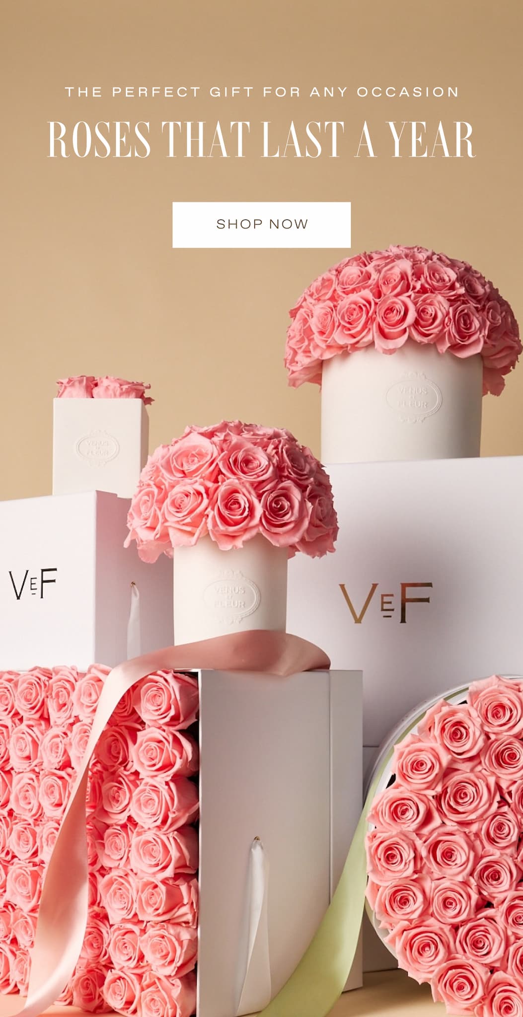 THE PERFECT GIFT FOR ANY OCCASION | Roses That Last a Year