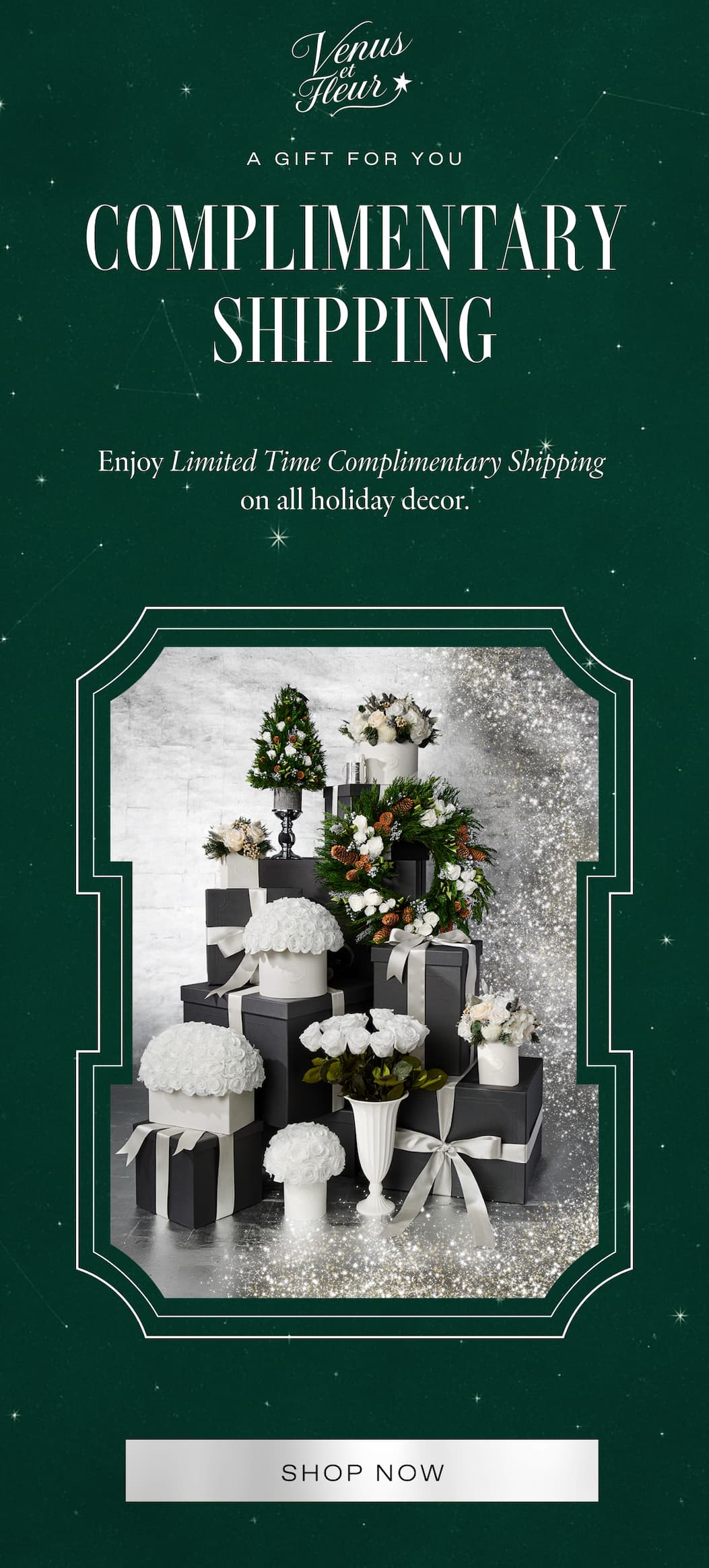 COMPLIMENTARY SHIPPING ON HOLIDAY DECOR