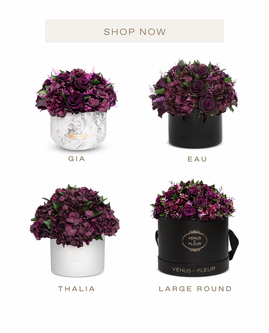 A vertical collage on a plum backdrop presenting the Fall palette and textures: a dew-kissed near-black rose, clusters of blackberries, wine-toned leaves, a white x-ray flower, multiple antiquity-inspired vessels (porcelain, clay, travertine; including a grid of ancient pots and a tall Egyptian amphora), a classical 'Flora' fresco and figure sketch, and a paint roller laying down an oxblood swatch—signaling a moody, museum-worthy direction for the Fall collection.