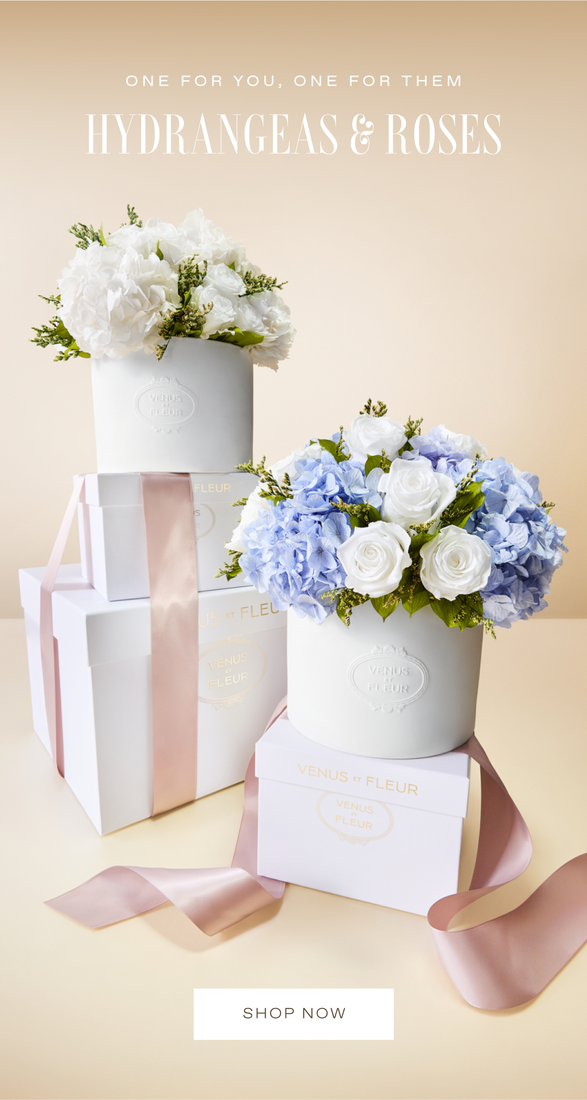 ONE FOR YOU, ONE FOR THEM: Hydrangeas & Roses