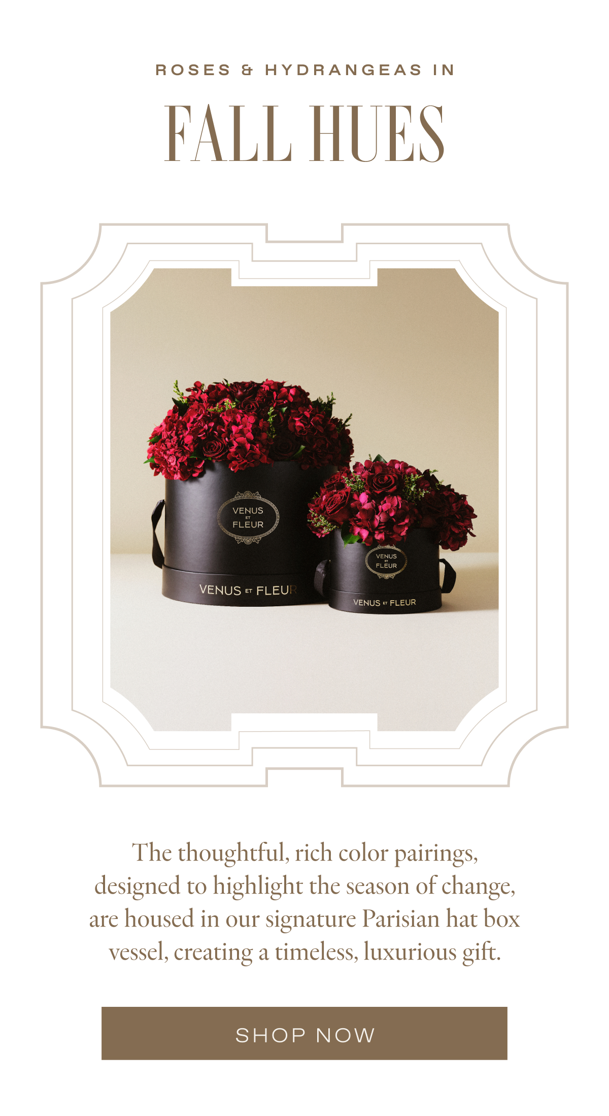 Roses & Hydrangeas in Fall Hues