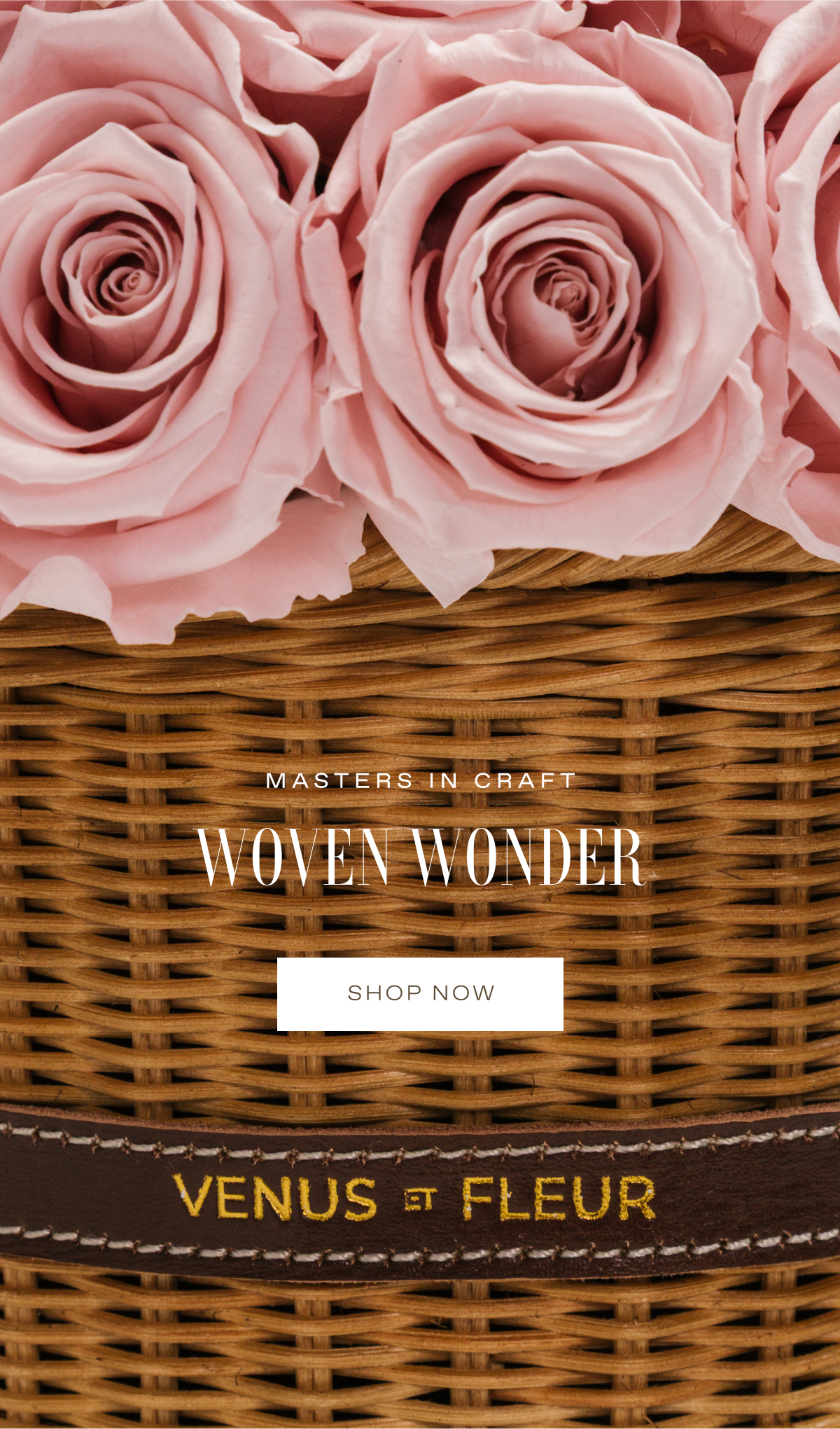Woven Wonders