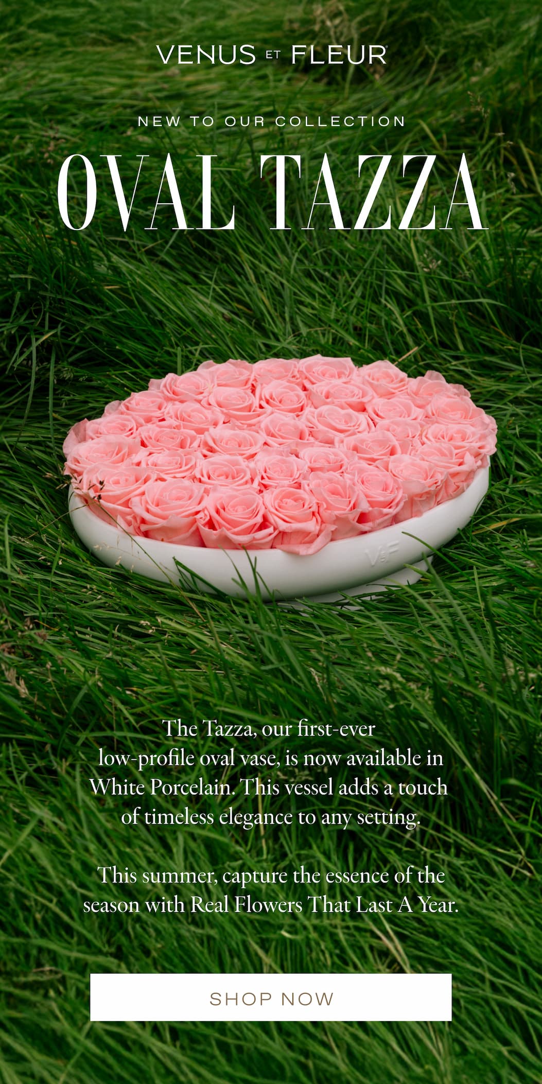 NEW TO OUR COLLECTION: Oval Tazza