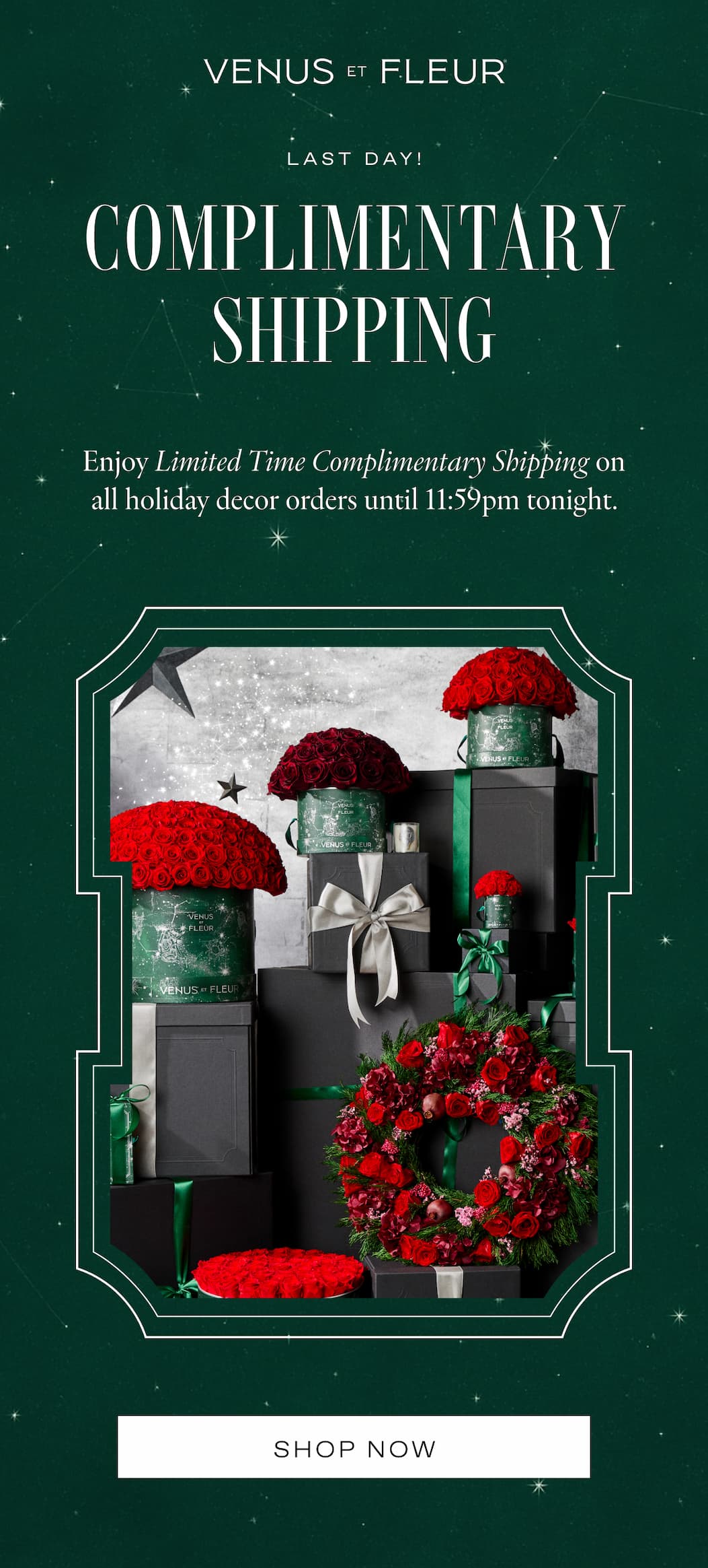 COMPLIMENTARY SHIPPING ON HOLIDAY DECOR