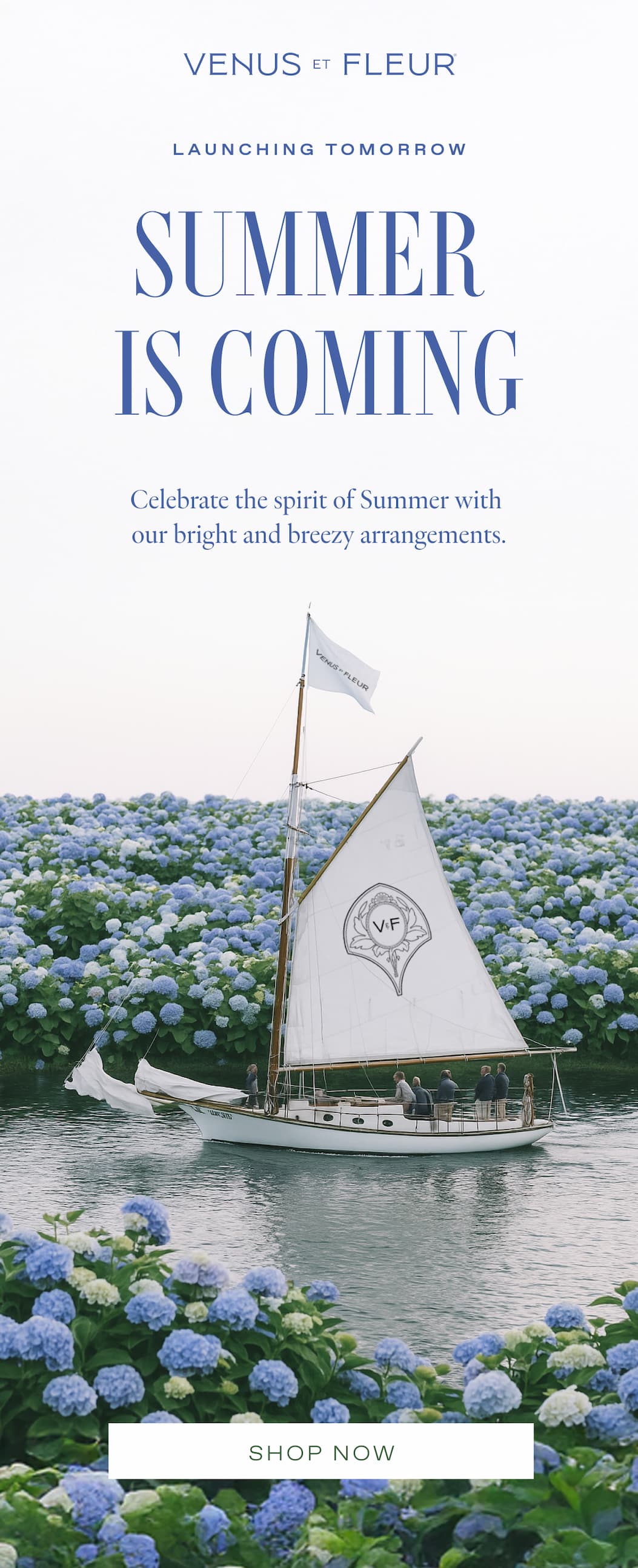 LAUNCHING TOMORROW - Summer is Coming