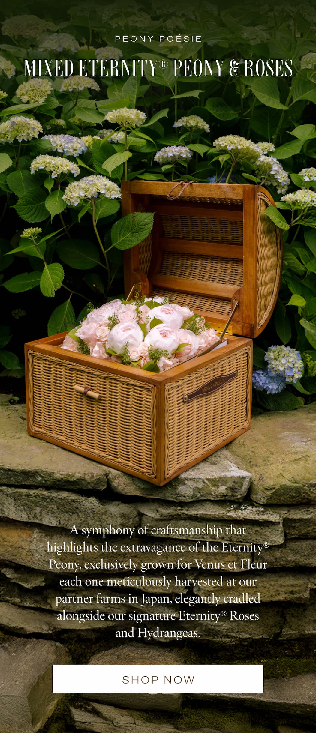 Our Coffrett Now offered in Peony & Rosees