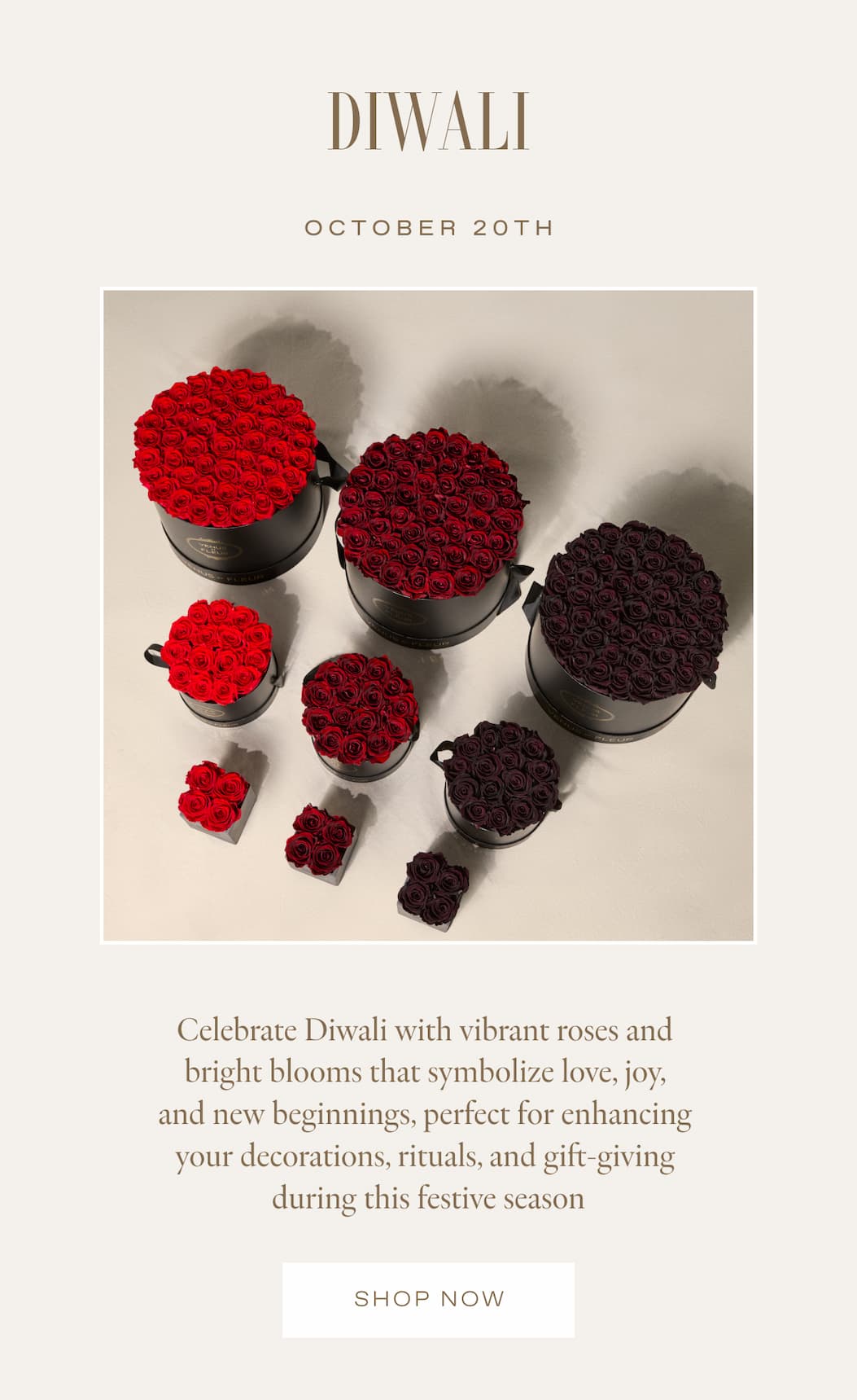 DIWALI - October 20th