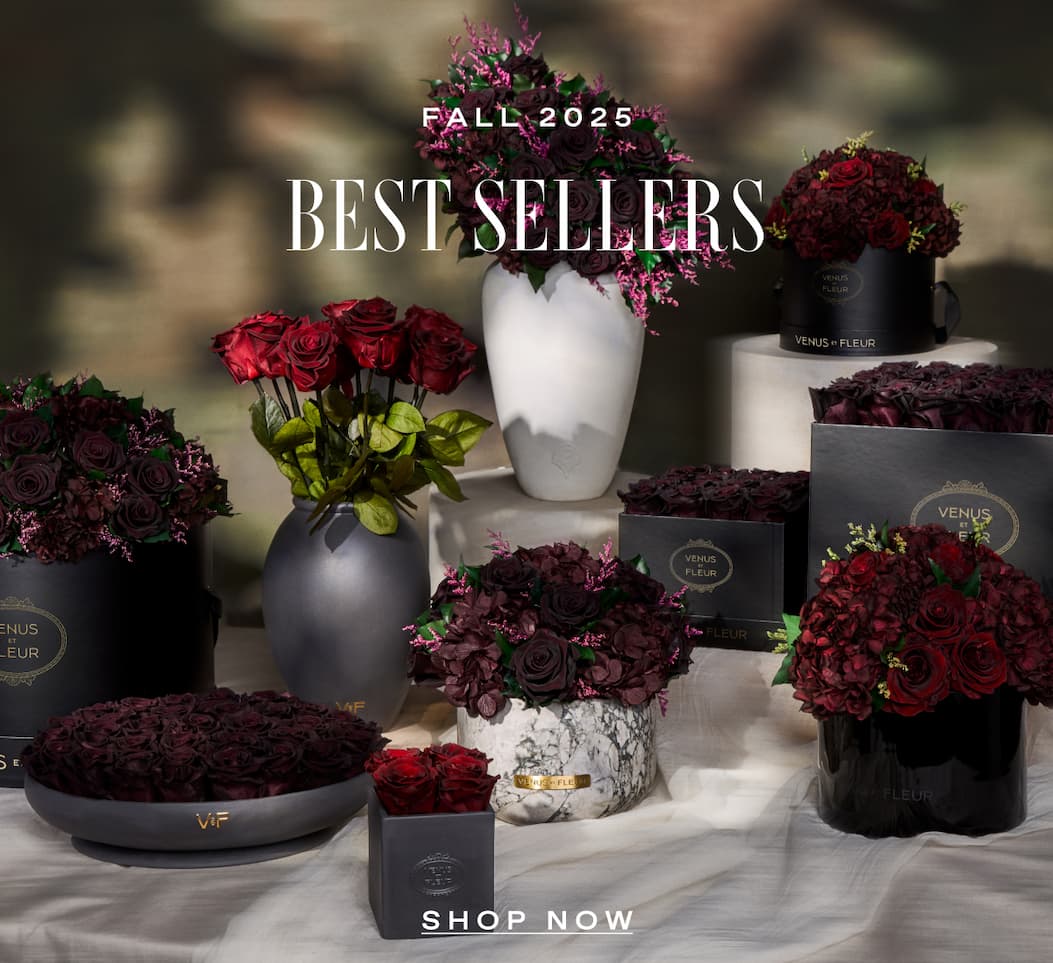 Fall 2025 BEST SELLERS